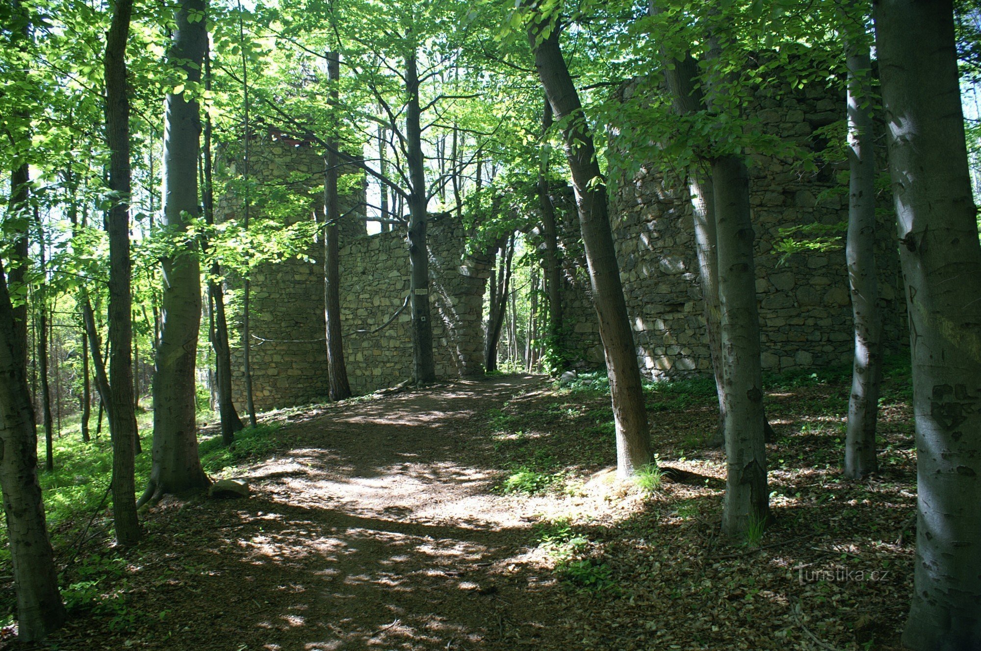 Door de mens gemaakte ruïnes van Ballymotte