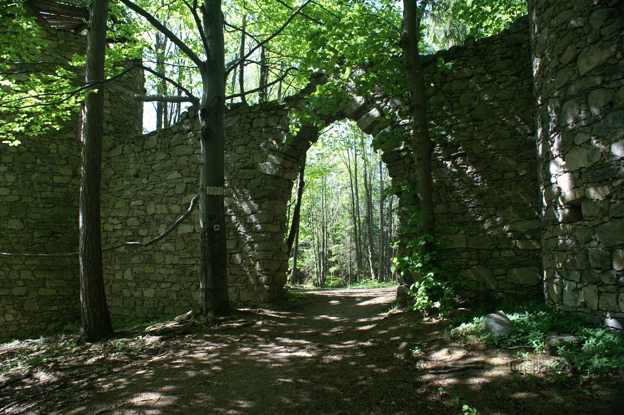 Door de mens gemaakte ruïnes van Ballymotte - gateway