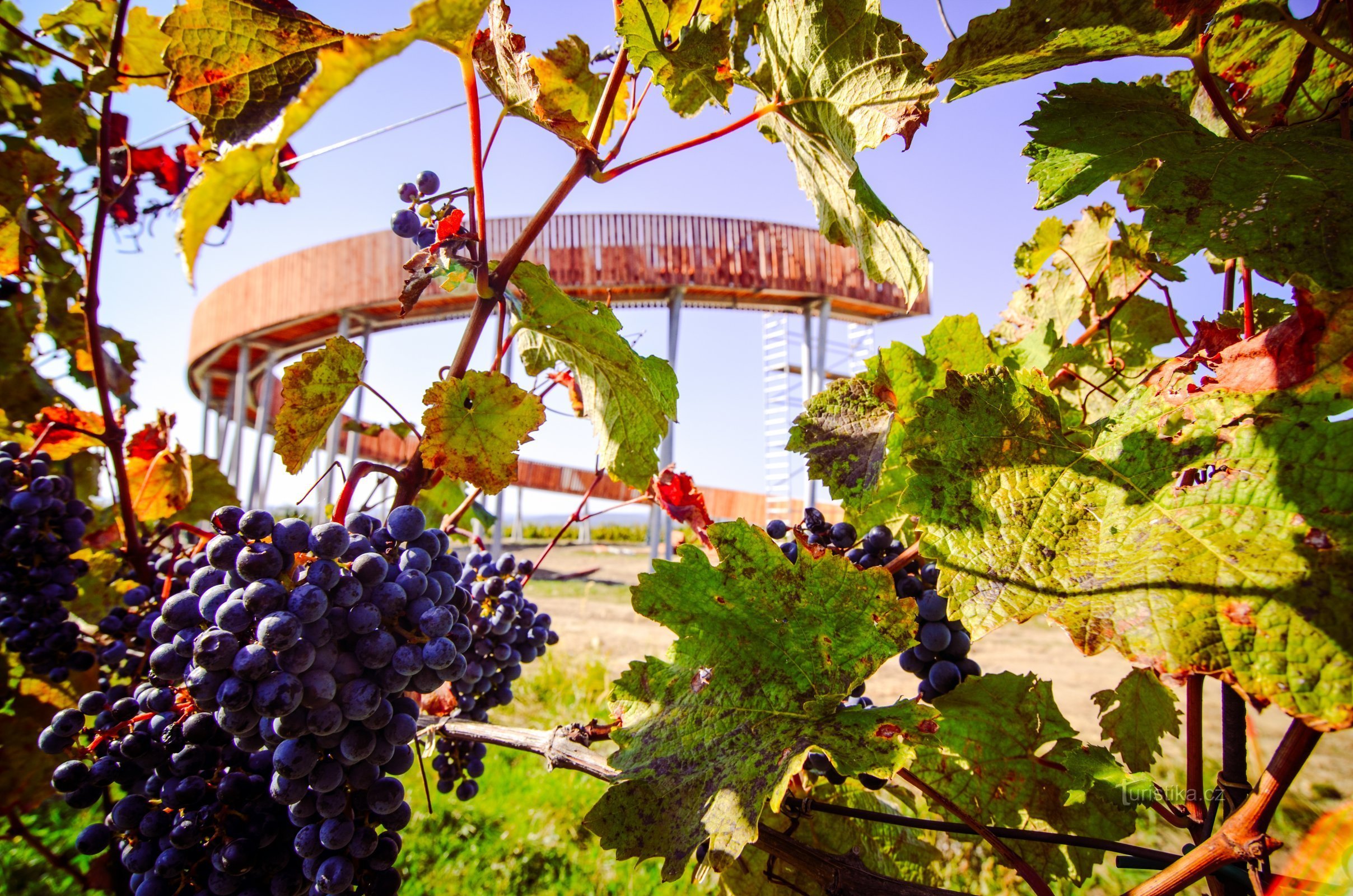 Een unieke ronde uitkijktoren: Pad boven wijngaarden