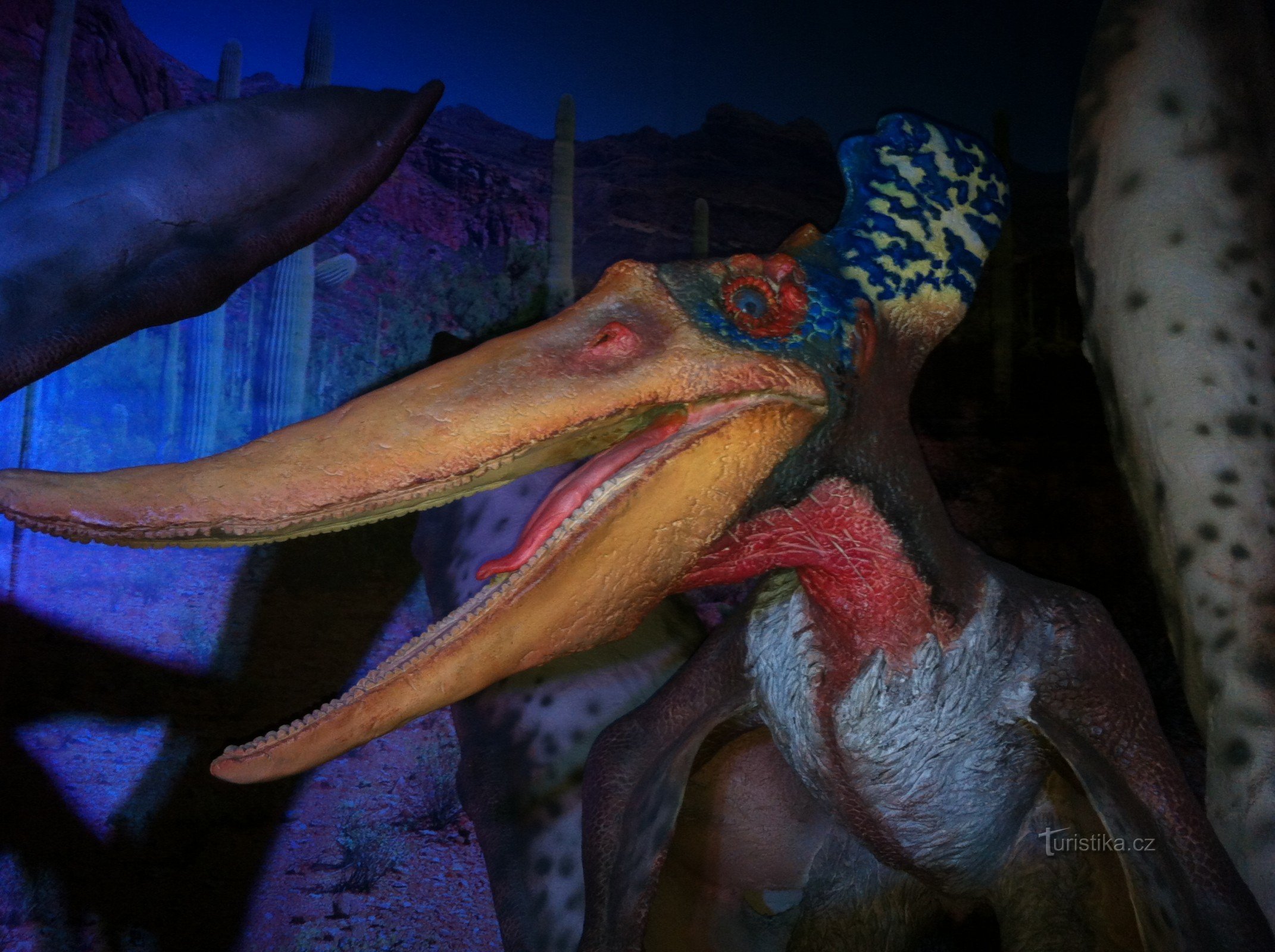 独特的展览恐龙归来 - 恐龙公园之旅 2015