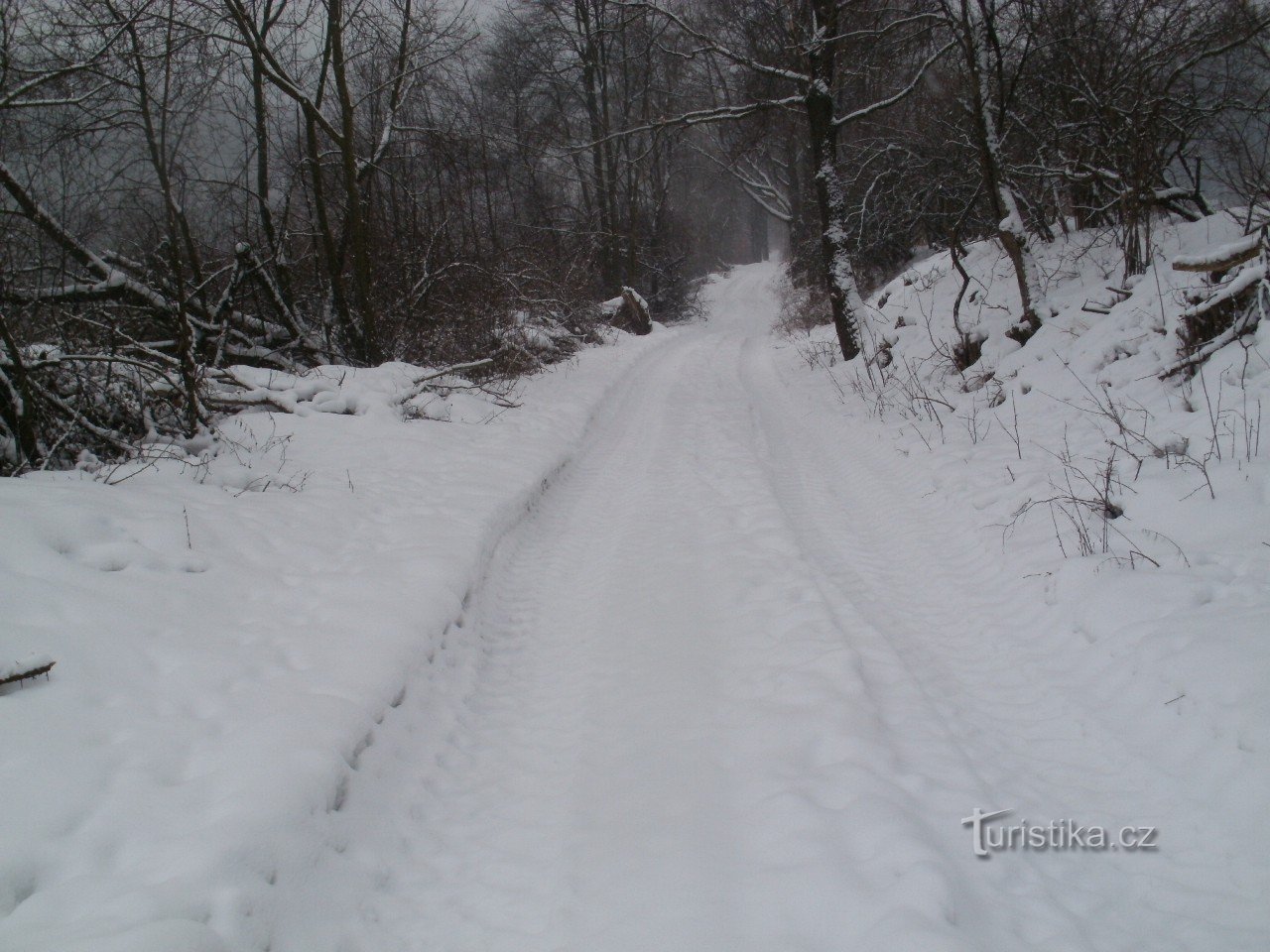 Février 2012-chemin vers l'étang