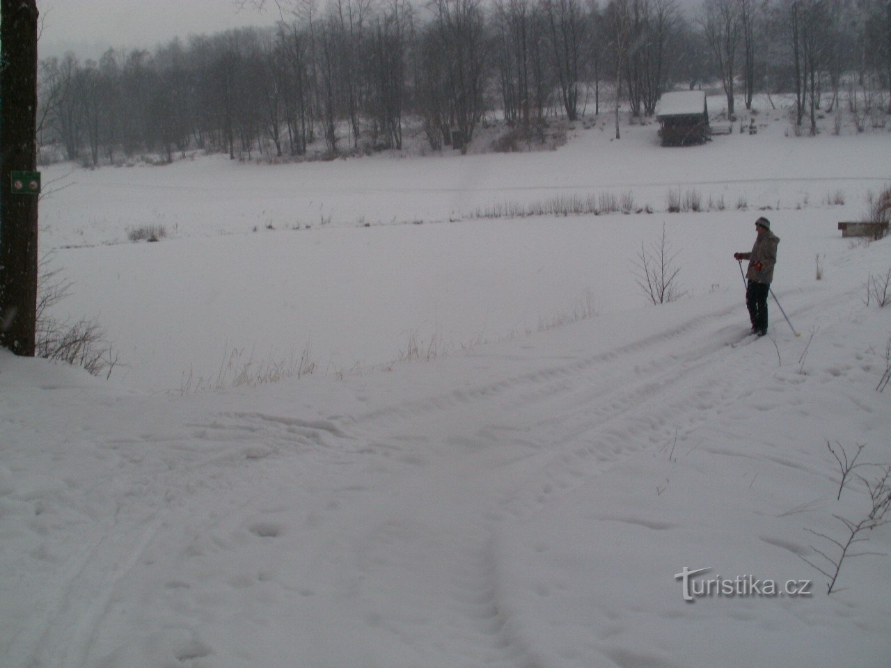 Febbraio 2012-stagno sotto la neve