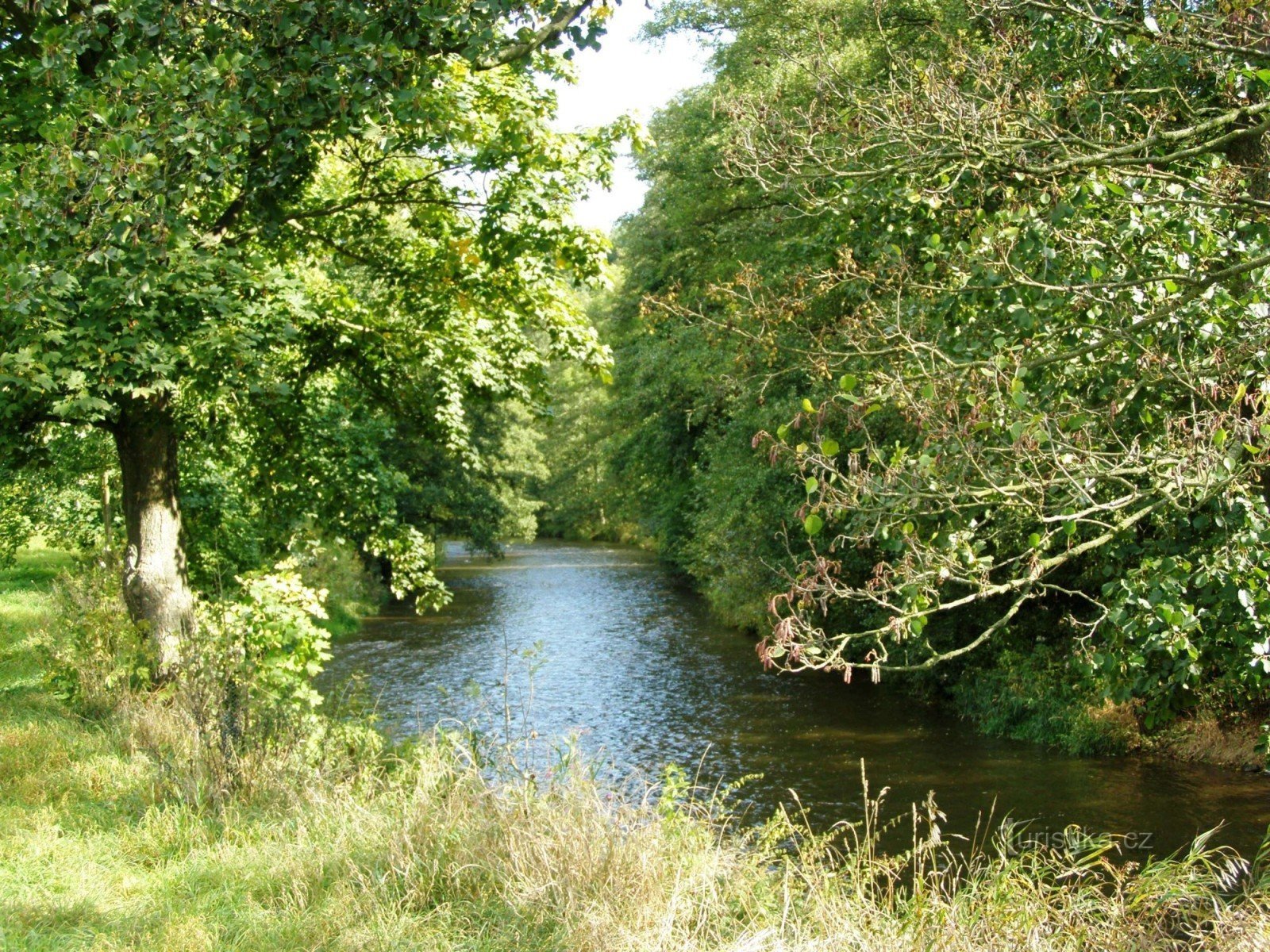 Upa in Babičina údolí