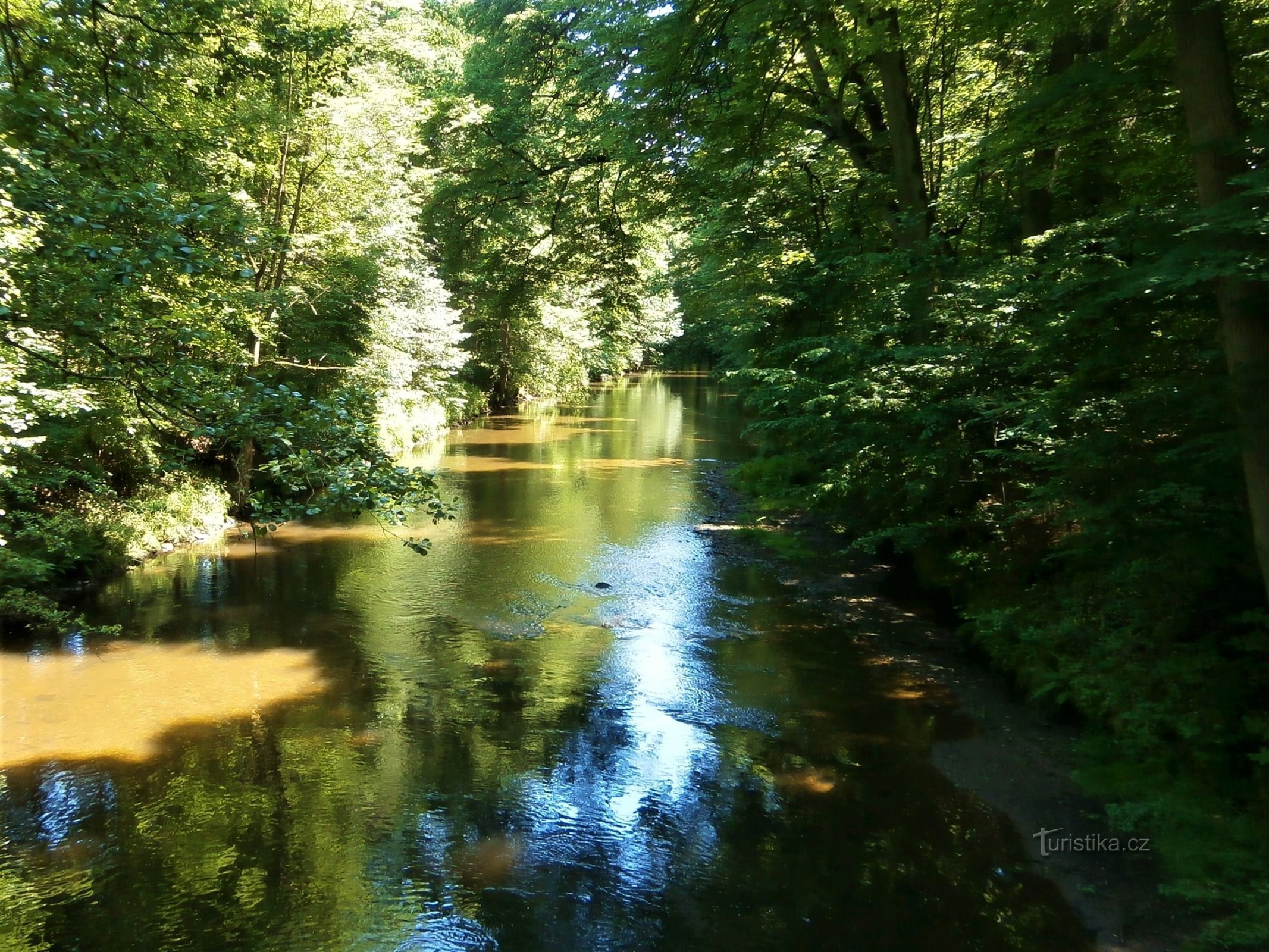 Úpa a Fehér hídról (Žernov, 22.6.2016.)