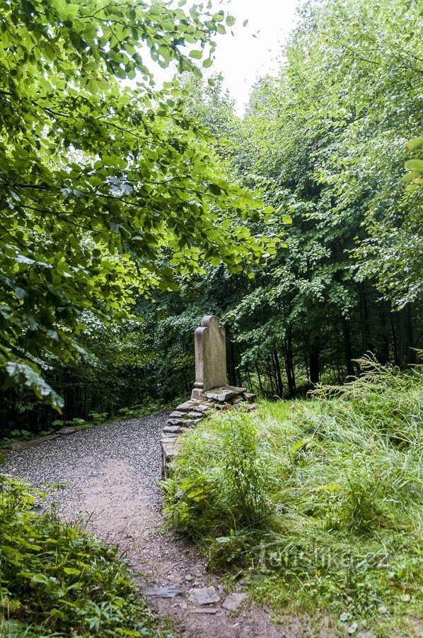 Gewijzigd platform