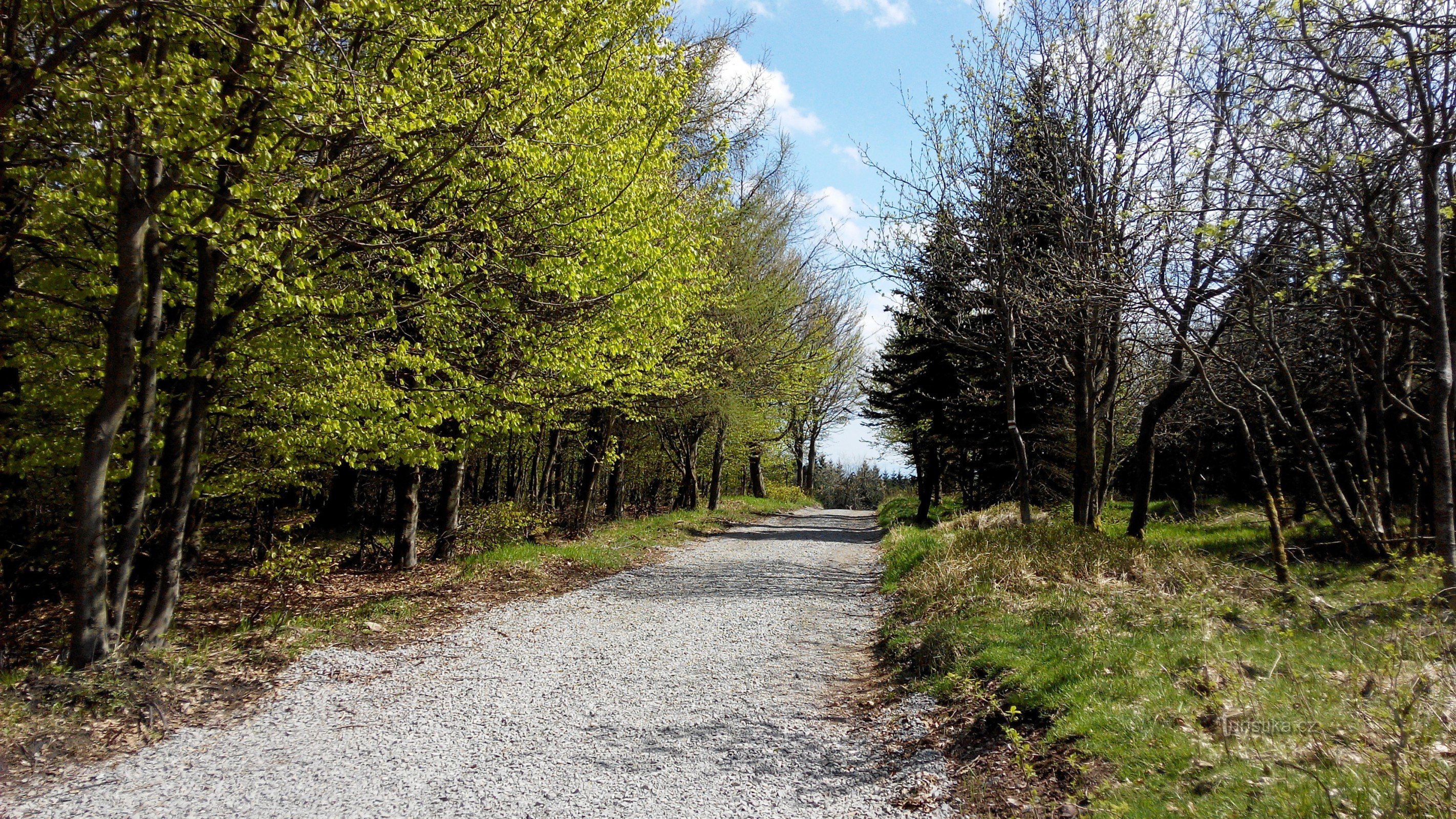 modifizierte asphaltierte Straße