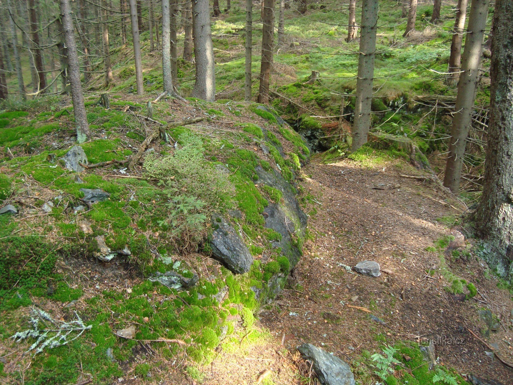 Umgebauter Kern der Burg - Zollhaus Drakov auf der Südseite - Foto: Ulrych Mir.