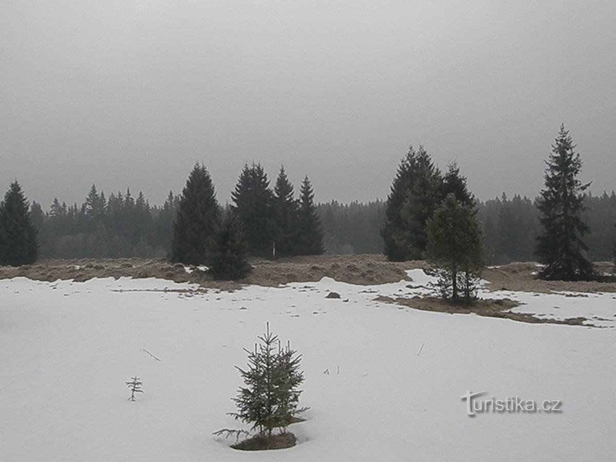 Um moinho ficava no meio das florestas de Šumava