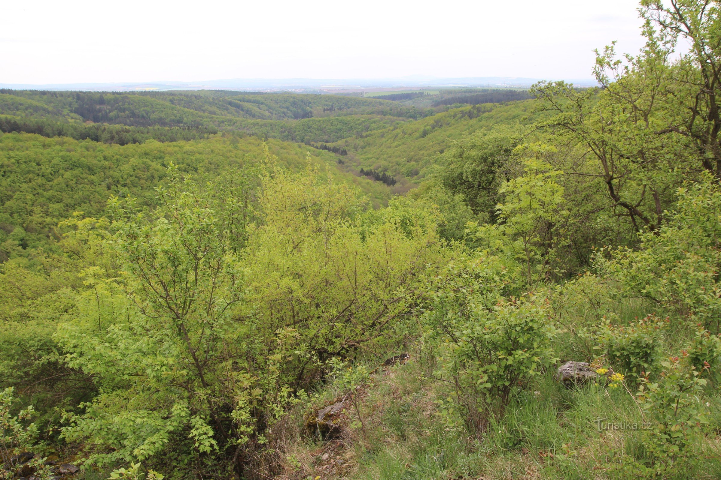 In the middle of Velké Hornek