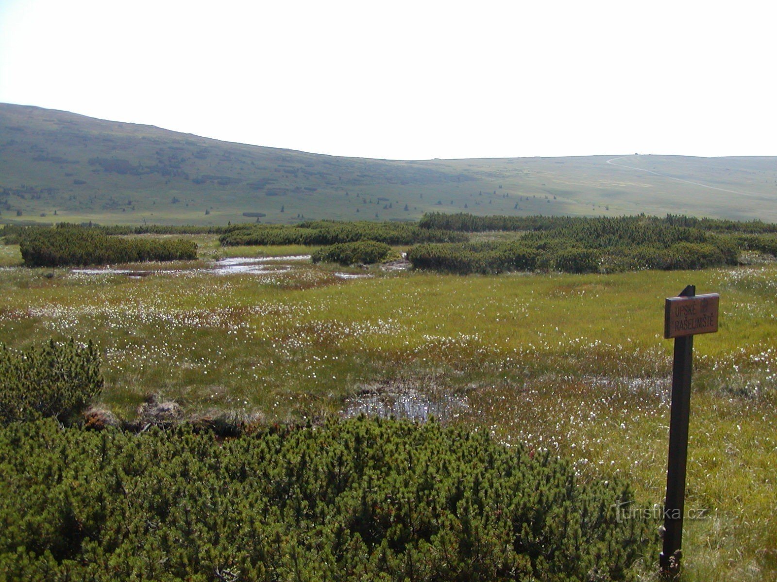 pantano de Upsk