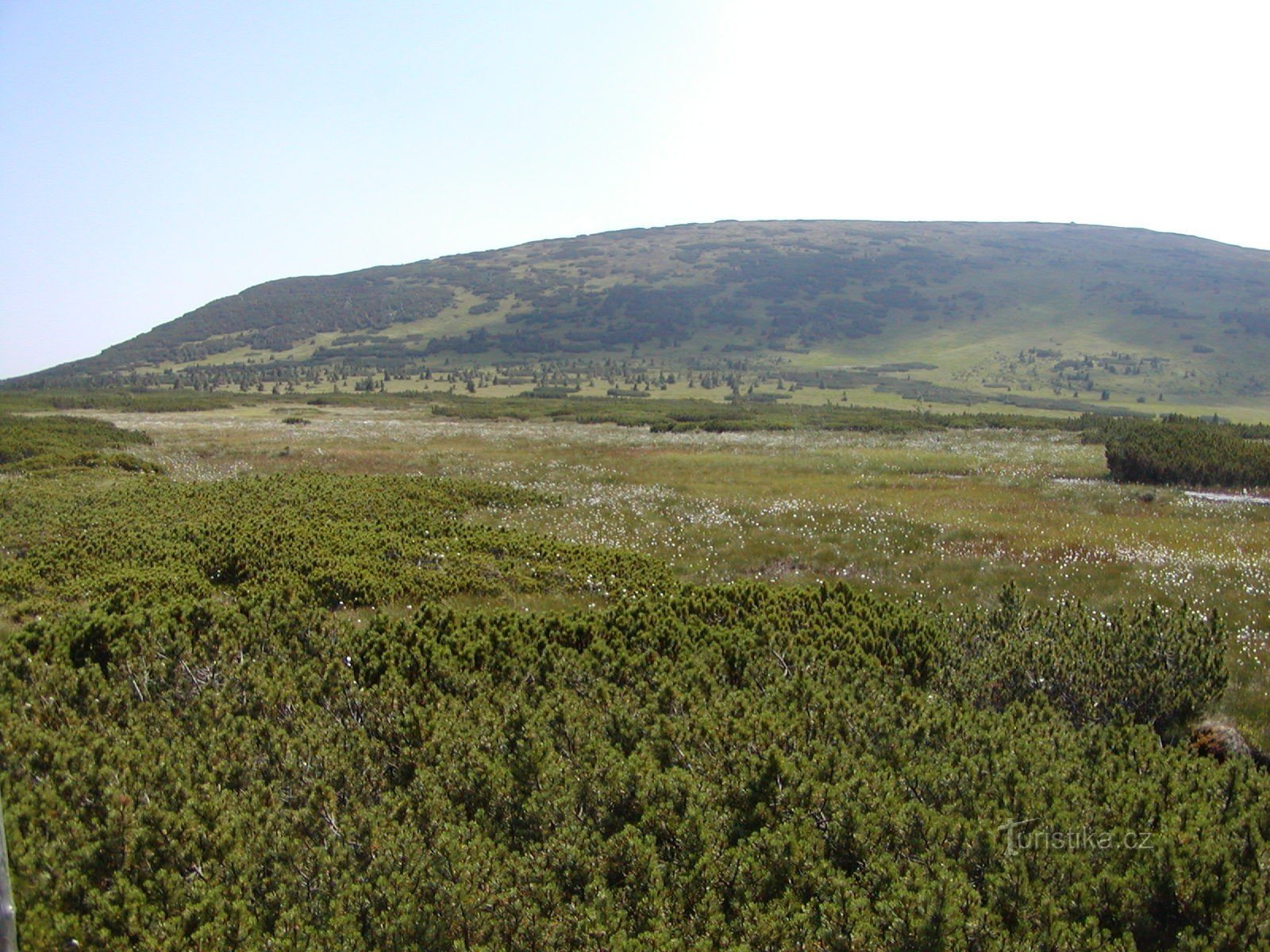 Tourbière d'Úpsk