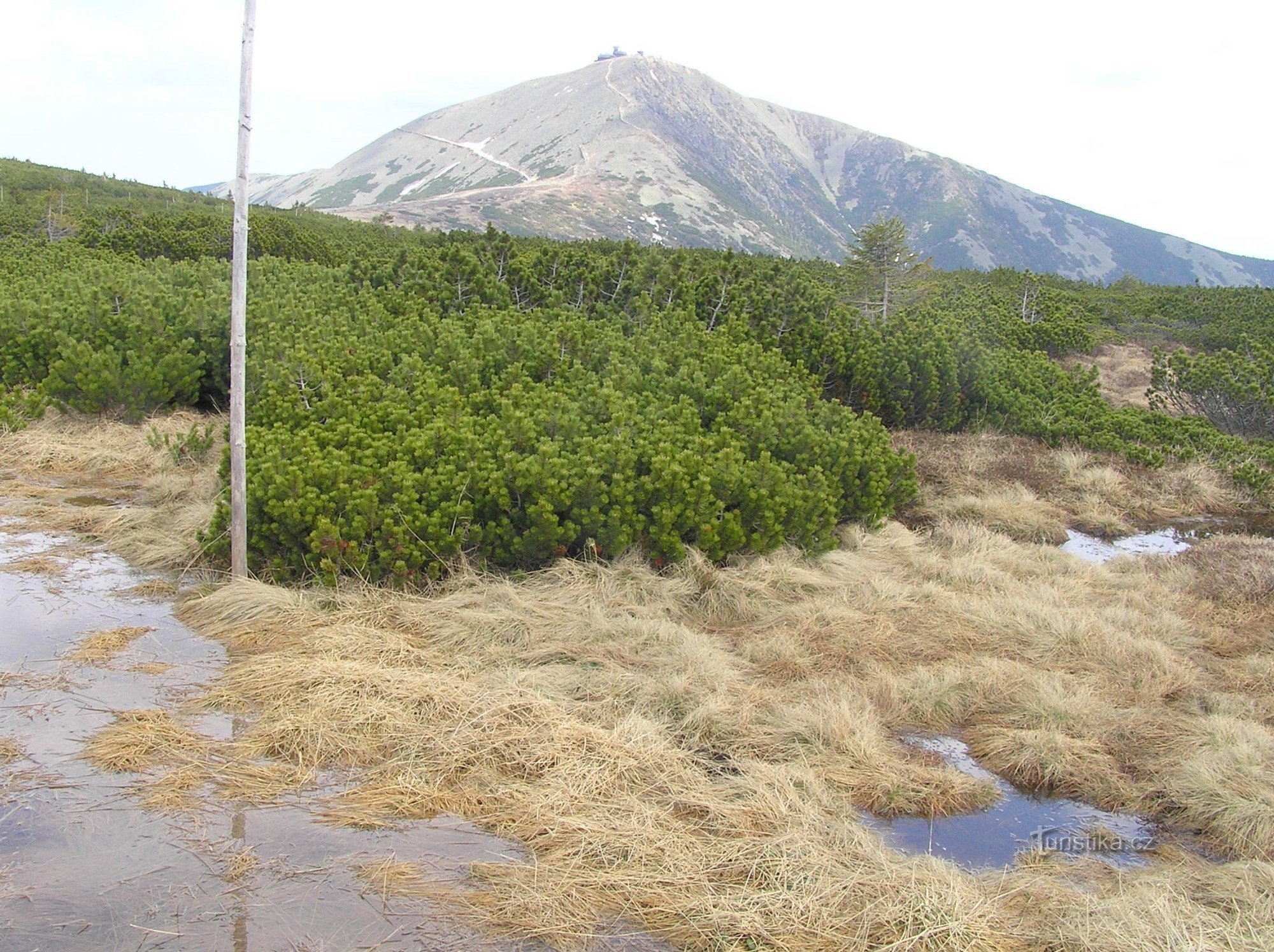 Pantano de Úpsk (mayo de 2009)