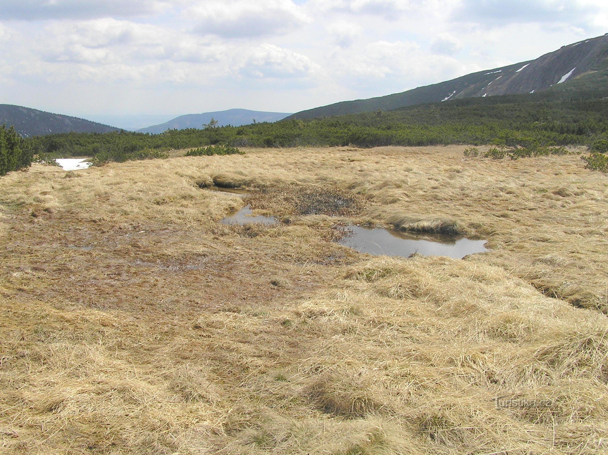 Úpa torvmosse - början på Úpa-flodens flöde (maj 2009)