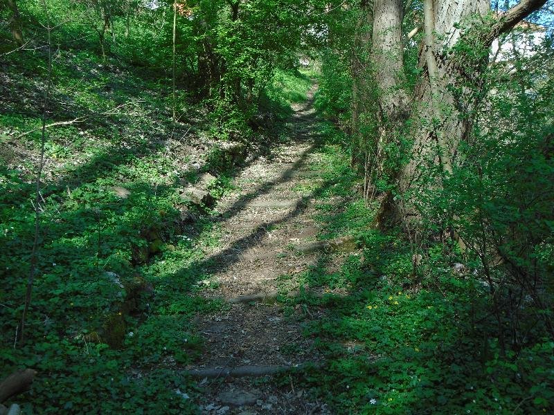 úsek bývalé poutní cesty do Kájova