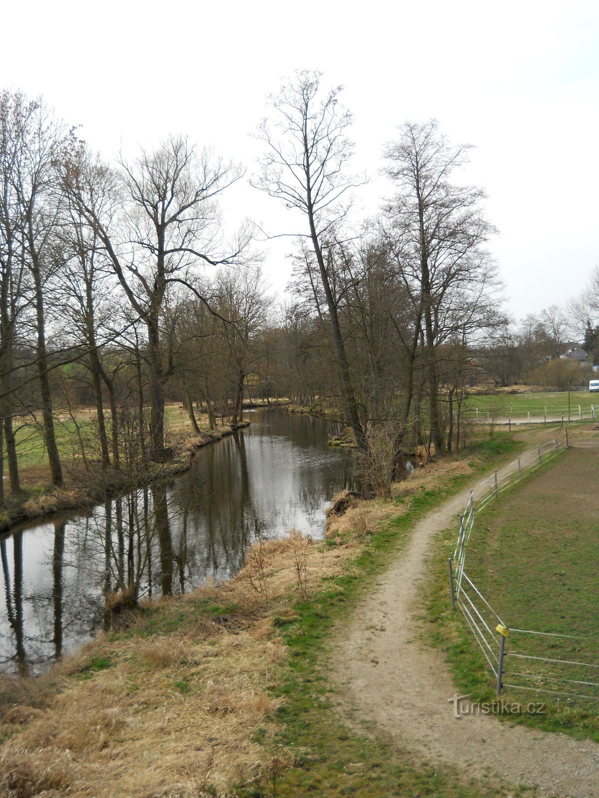 Célébration sous le bosquet