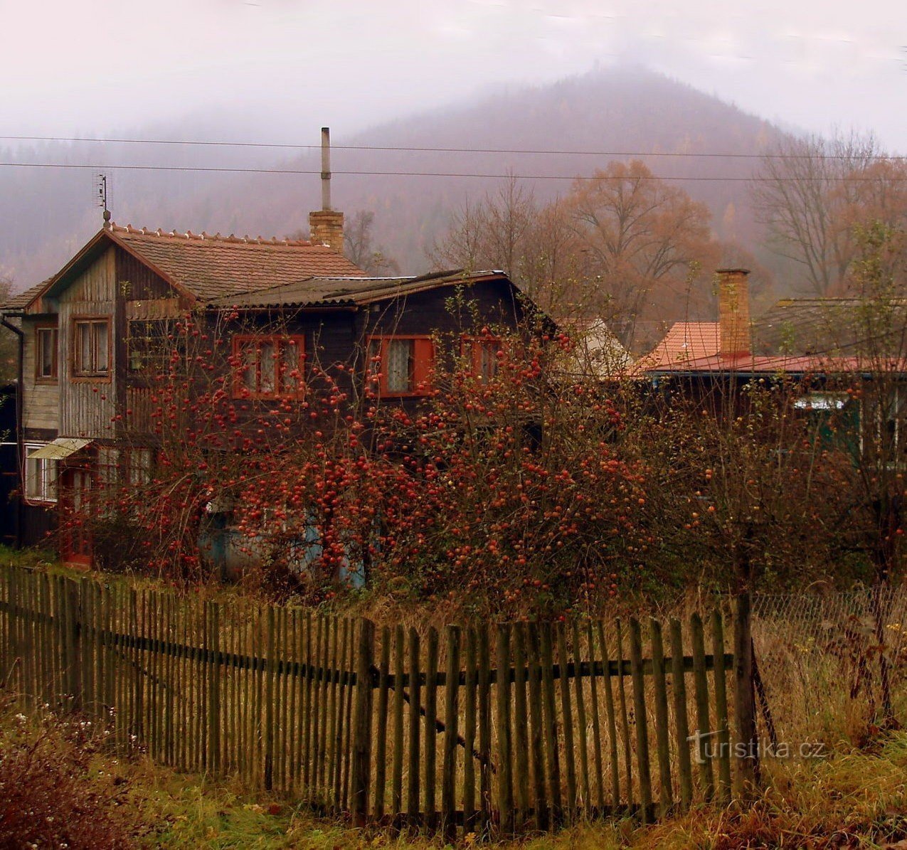 Багато без садівників