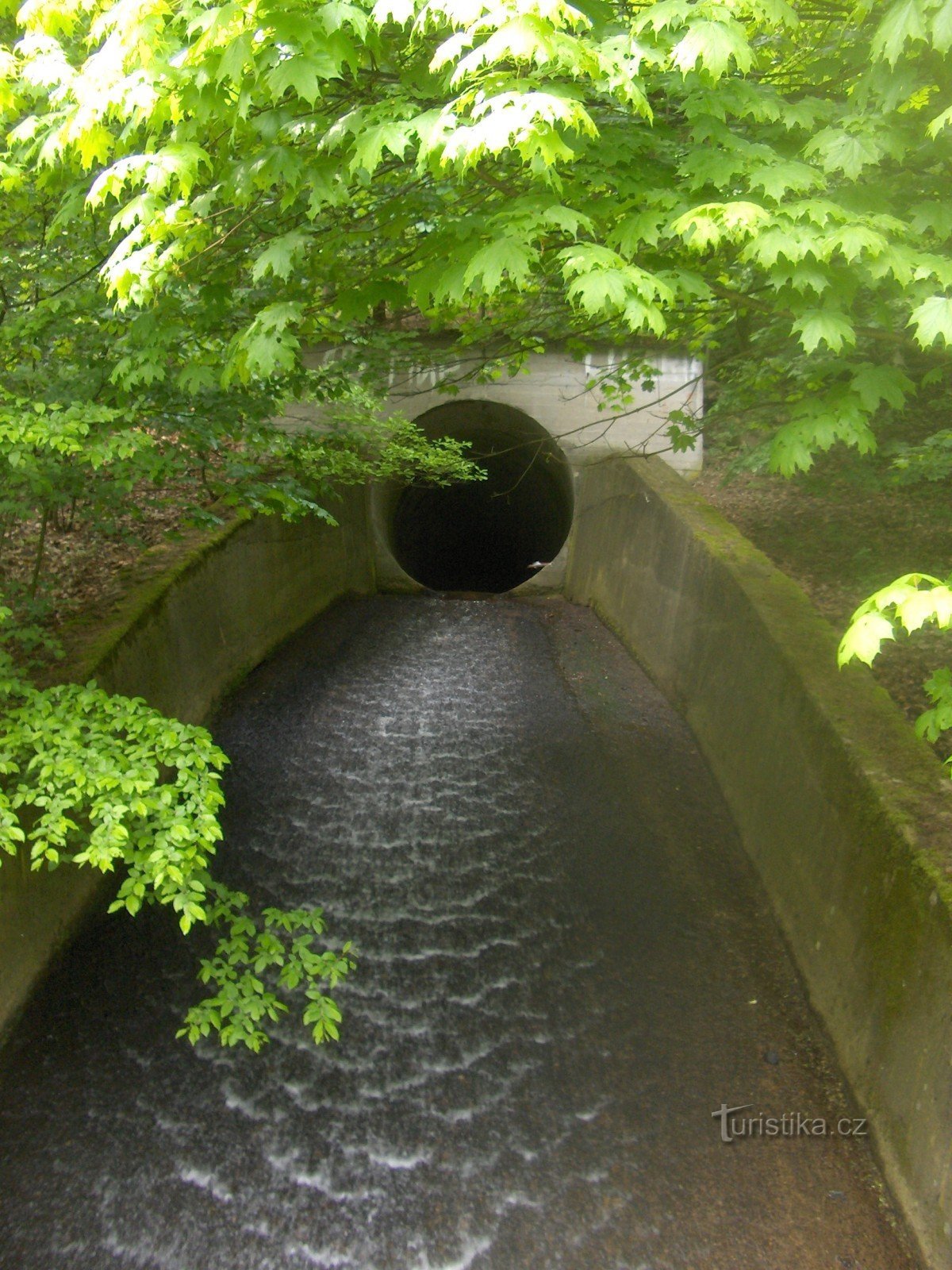 ujście tunelu Albrechtick