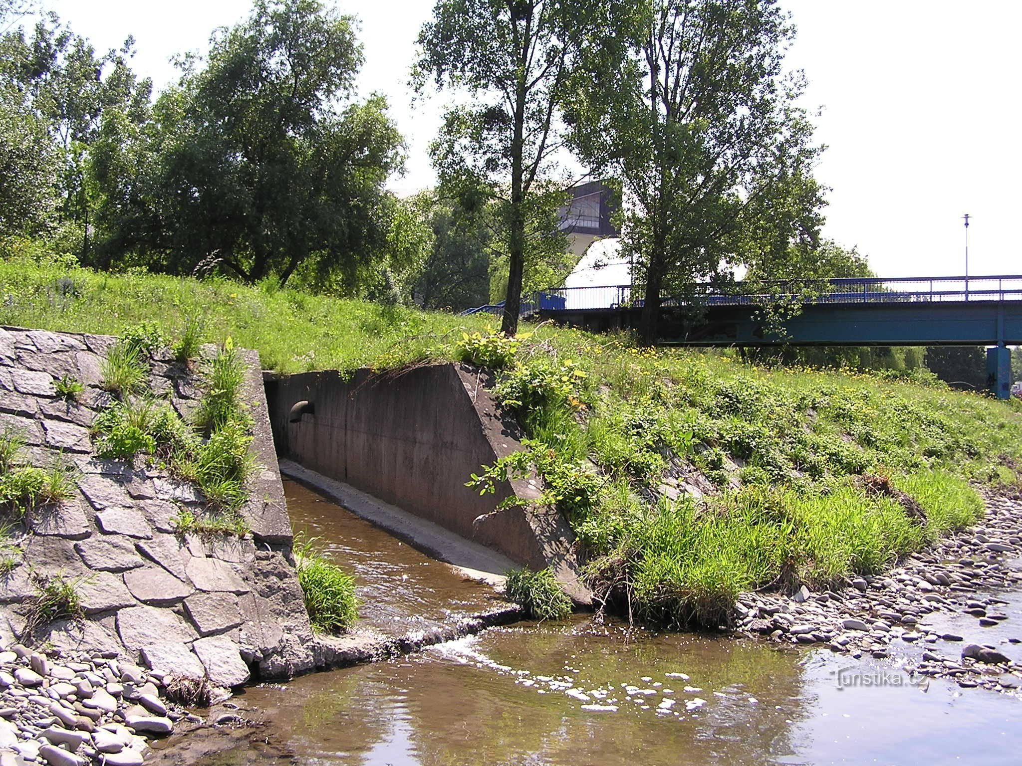 Mündung in Ostravica