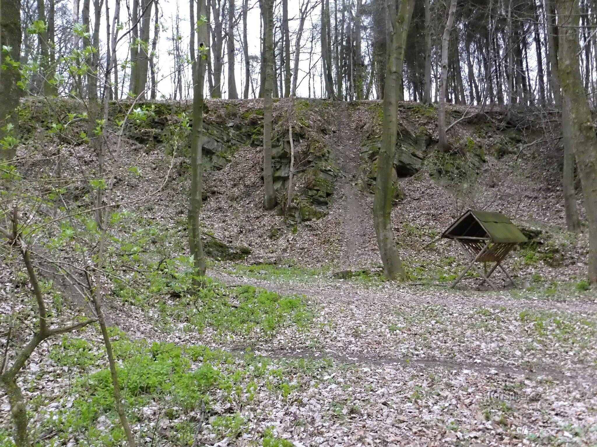 Secret quarries near Jilešovice, part two.