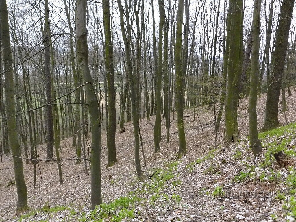 Carrières secrètes près de Jilešovice, deuxième partie.