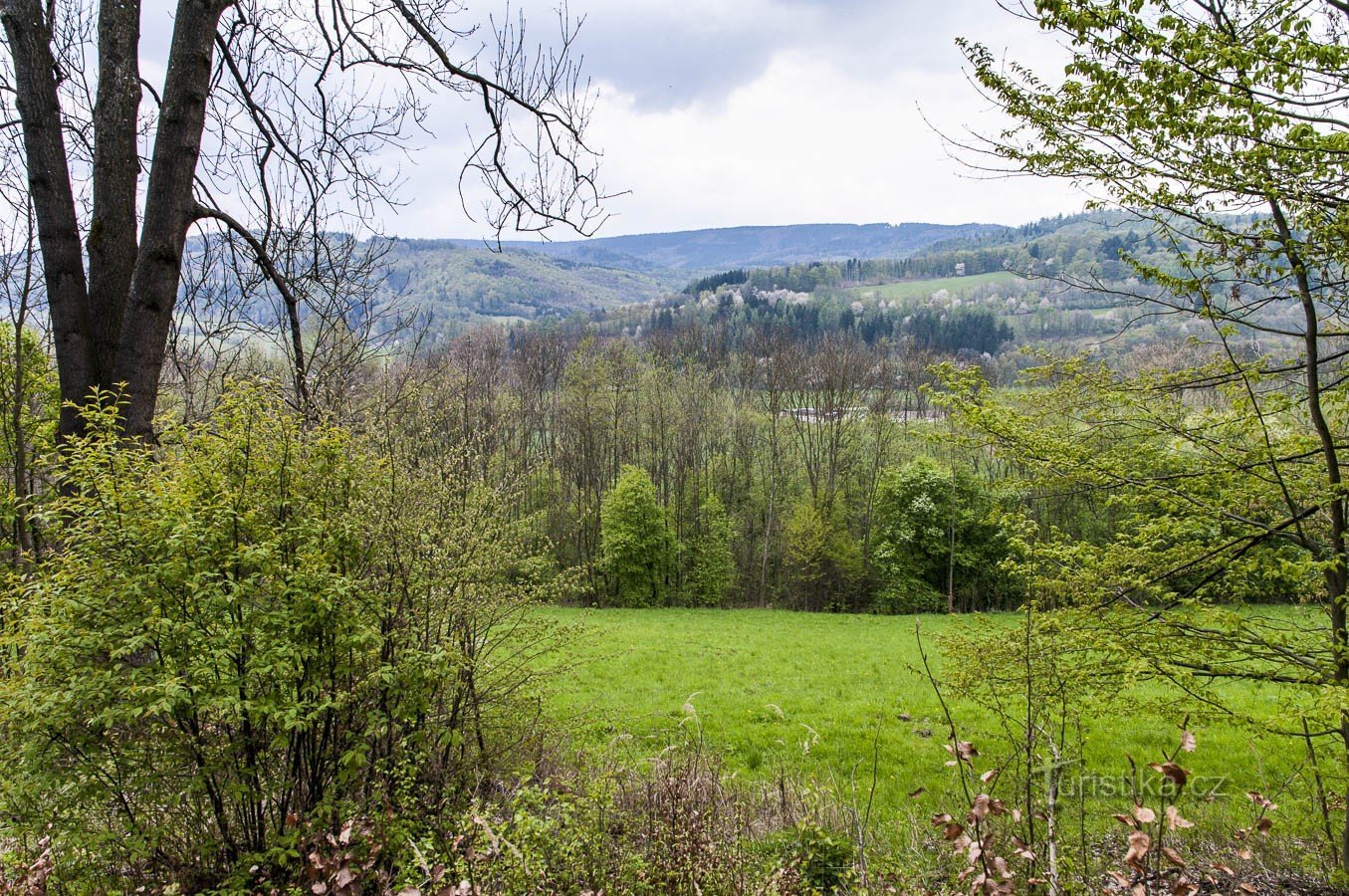 Ascuns în pădure - Castelul Nou