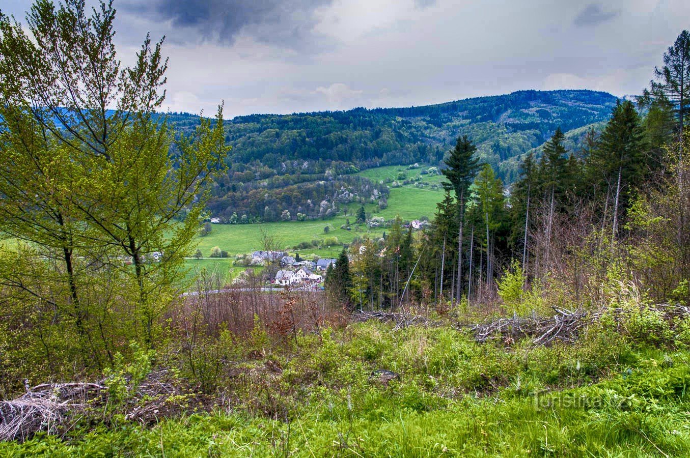 Skriven u šumi - Novi dvorac