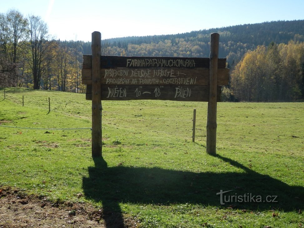 Welcome banner