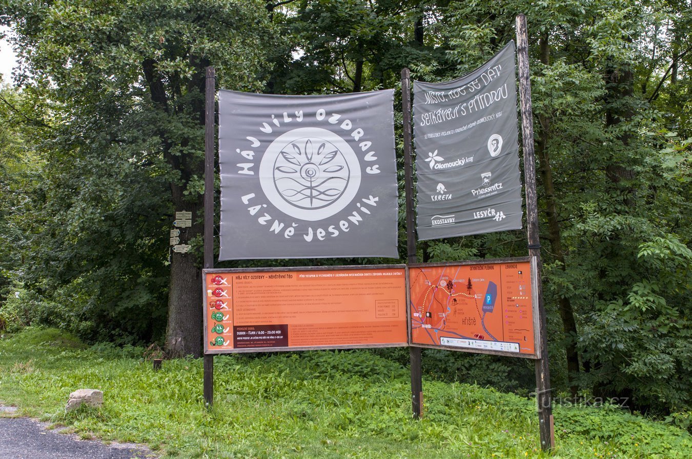 Einführung in die Waldwelt