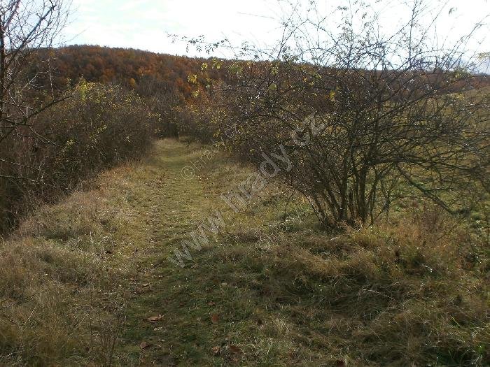 úzkokolejná  trať Králův Dvůr - Beroun - Koněprusy