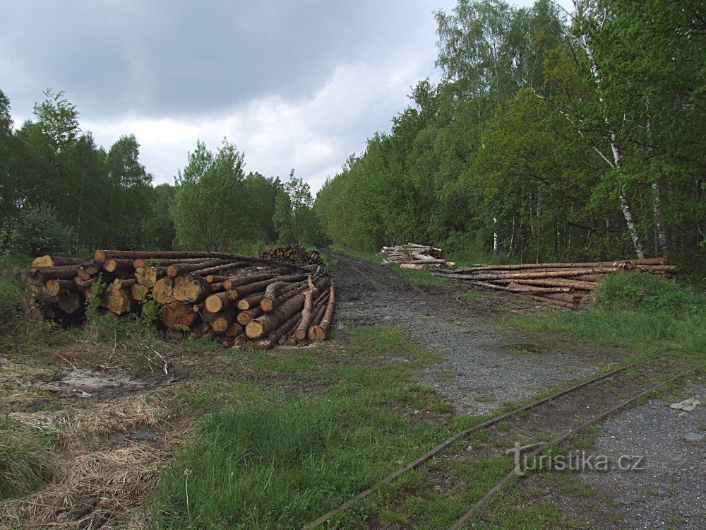 Narrow gauge line in the Soos Reserve