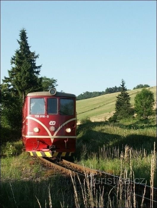 Ferrovia a scartamento ridotto