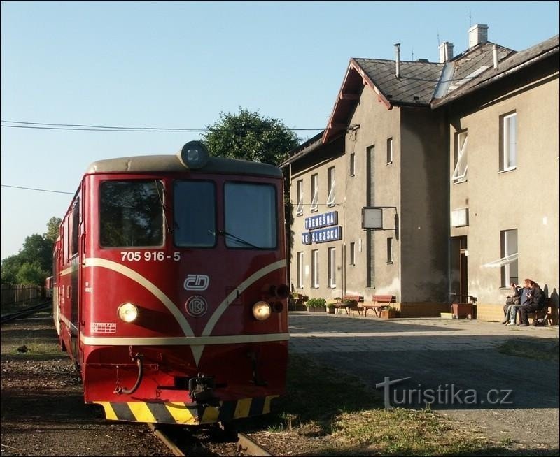 Узкоколейная железная дорога