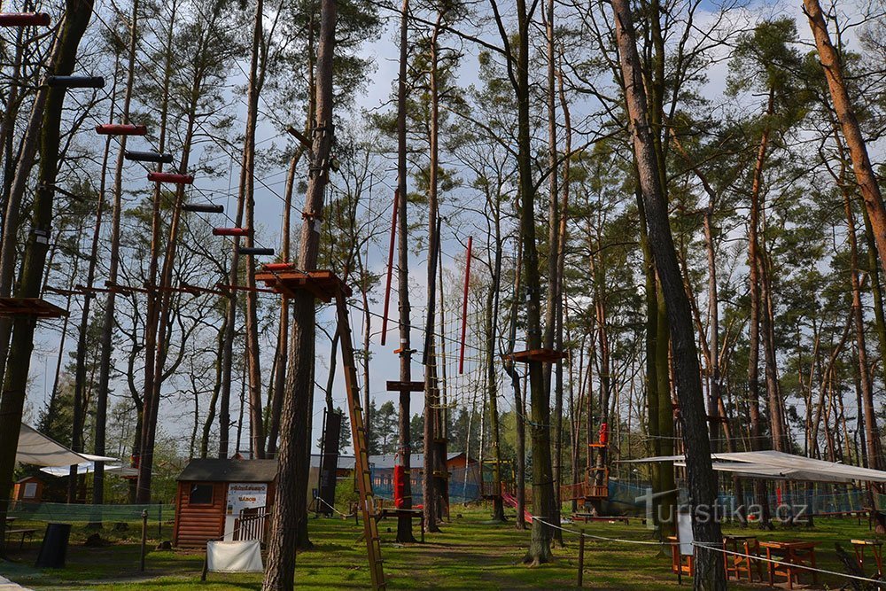 在 4 年 2018camping Camp of the Year 投票中，Stříbrný rybník 营地和小屋获胜