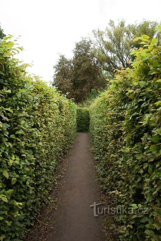 Dans un labyrinthe