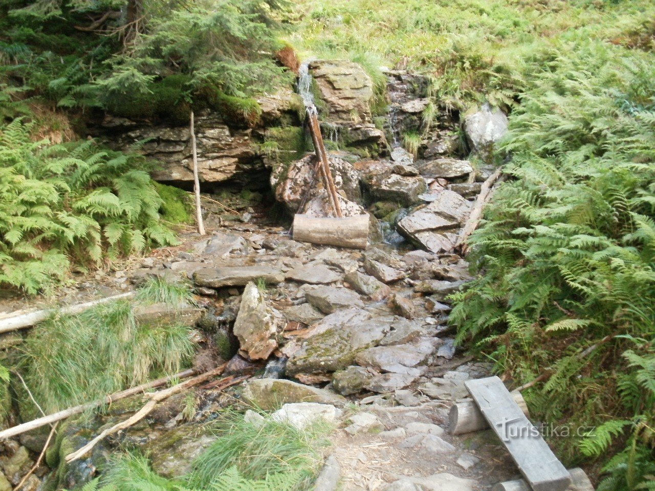 野生の鉱山で 1