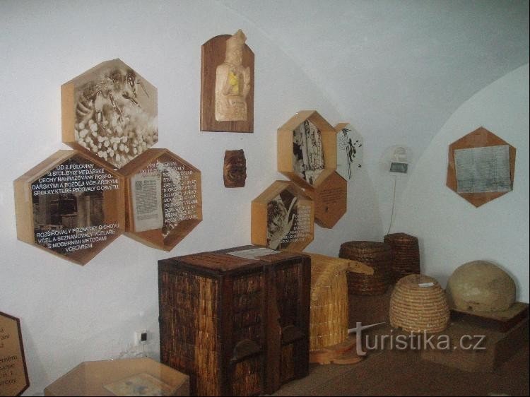 dans l'exposition du musée de l'apiculture