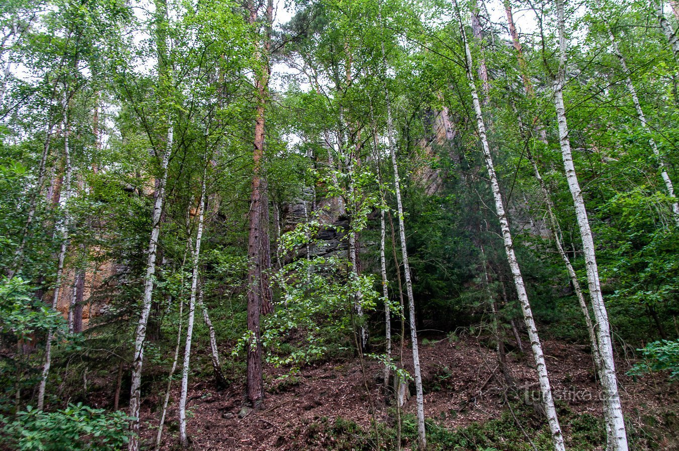 I Heřmánecké-dalen