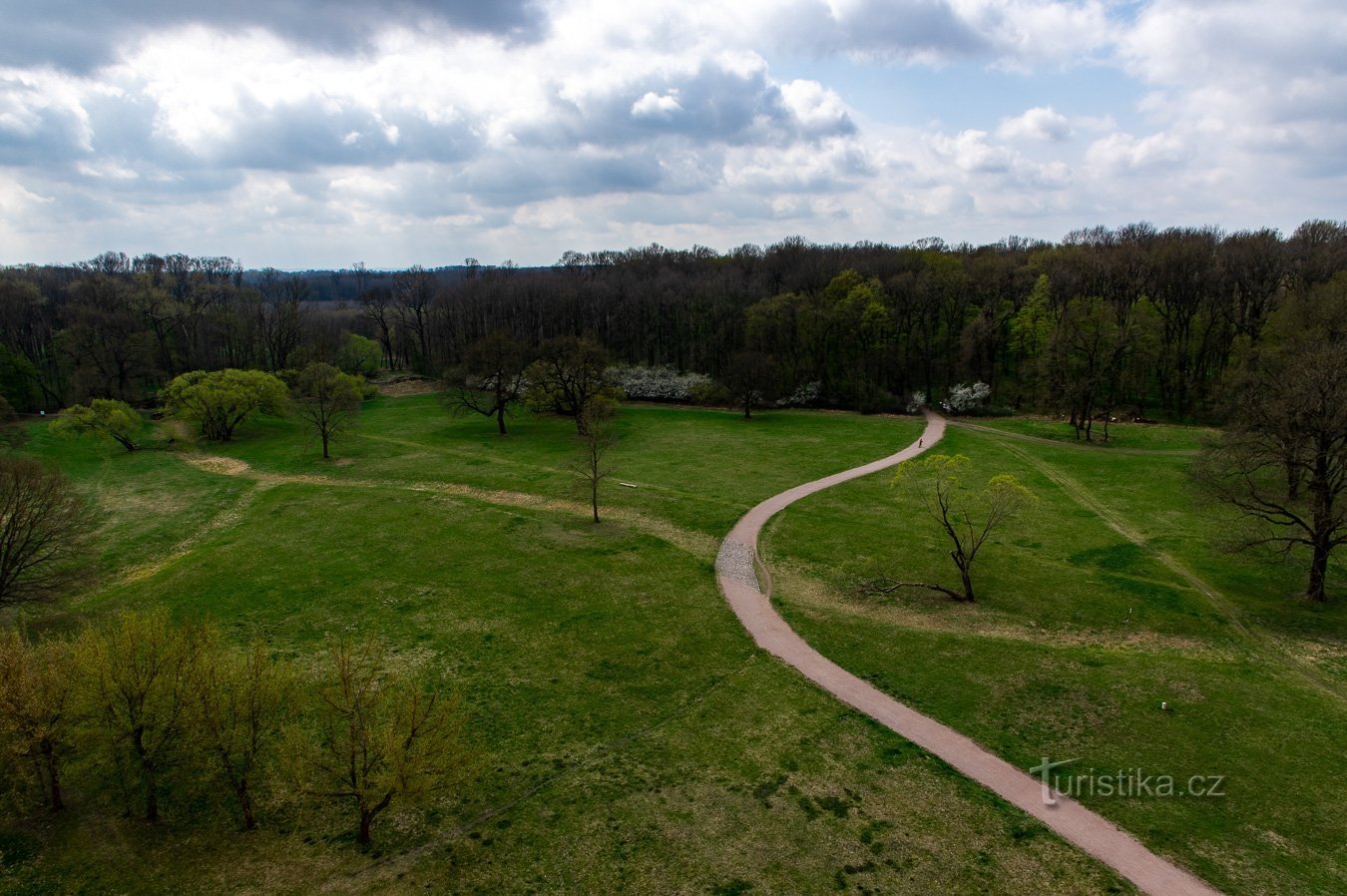 Na zamku jest taki układ parkowy