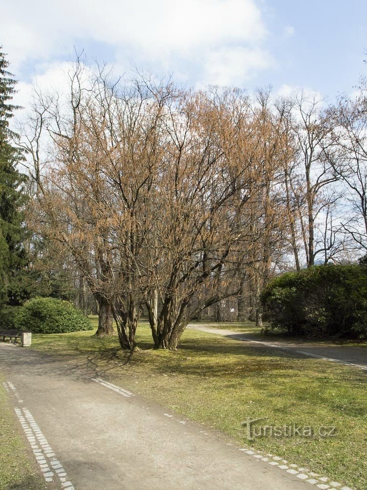 In het zuidoostelijke deel van het park