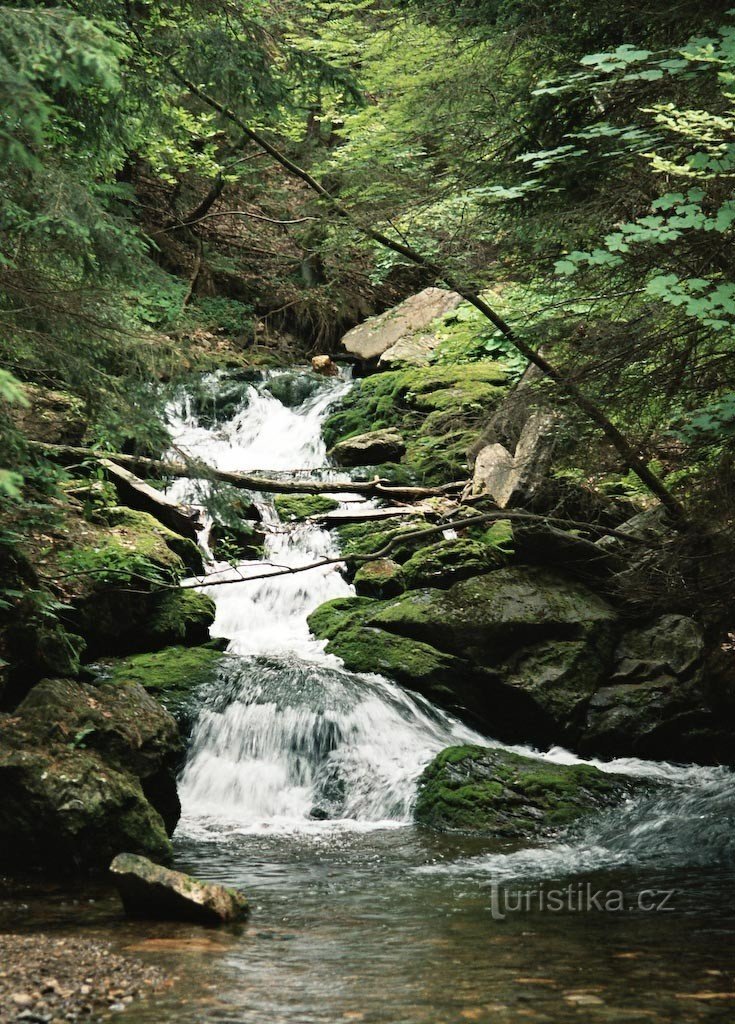 in der Schlucht der Weißen Troppau