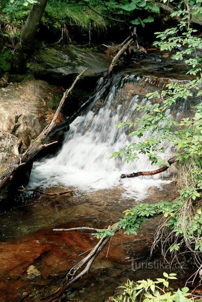 in de White Opava-canyon