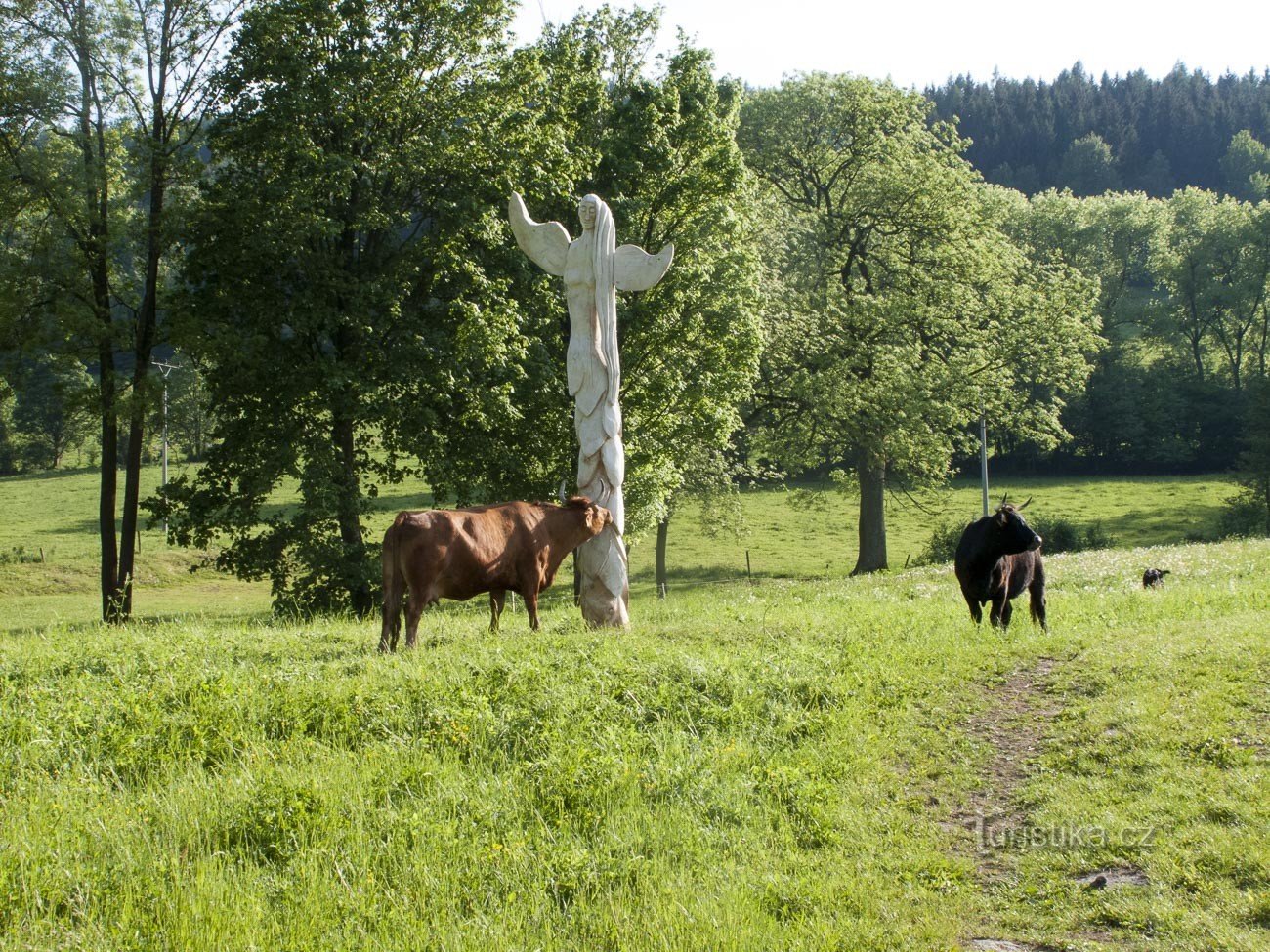 V květnu ještě anděle obdivoval dobytek