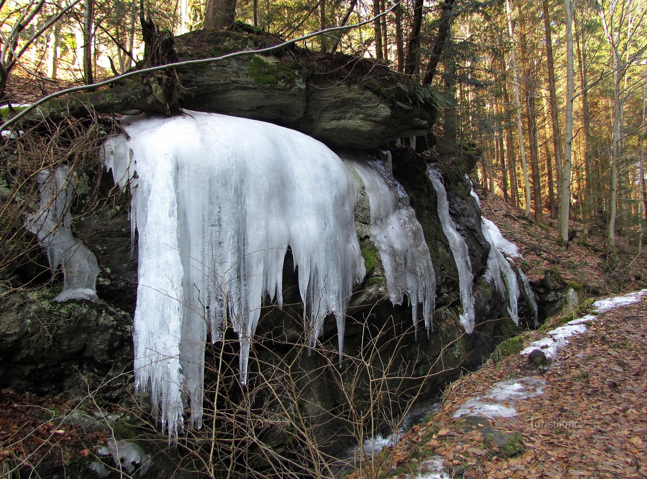 在奥斯卡维的冰雪王国