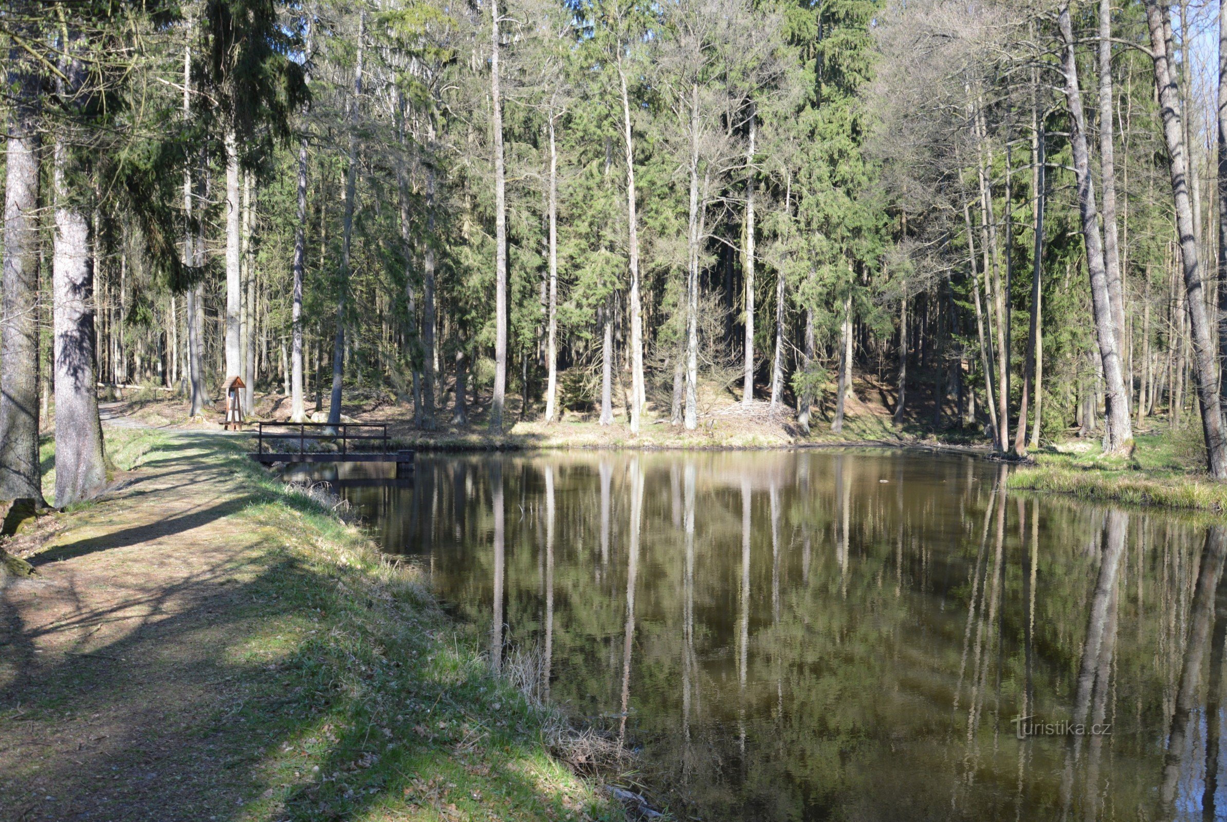 în pădure