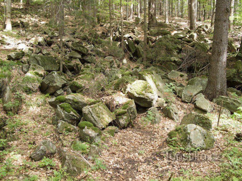 On peut voir de tels décombres dans la forêt au bord de la route