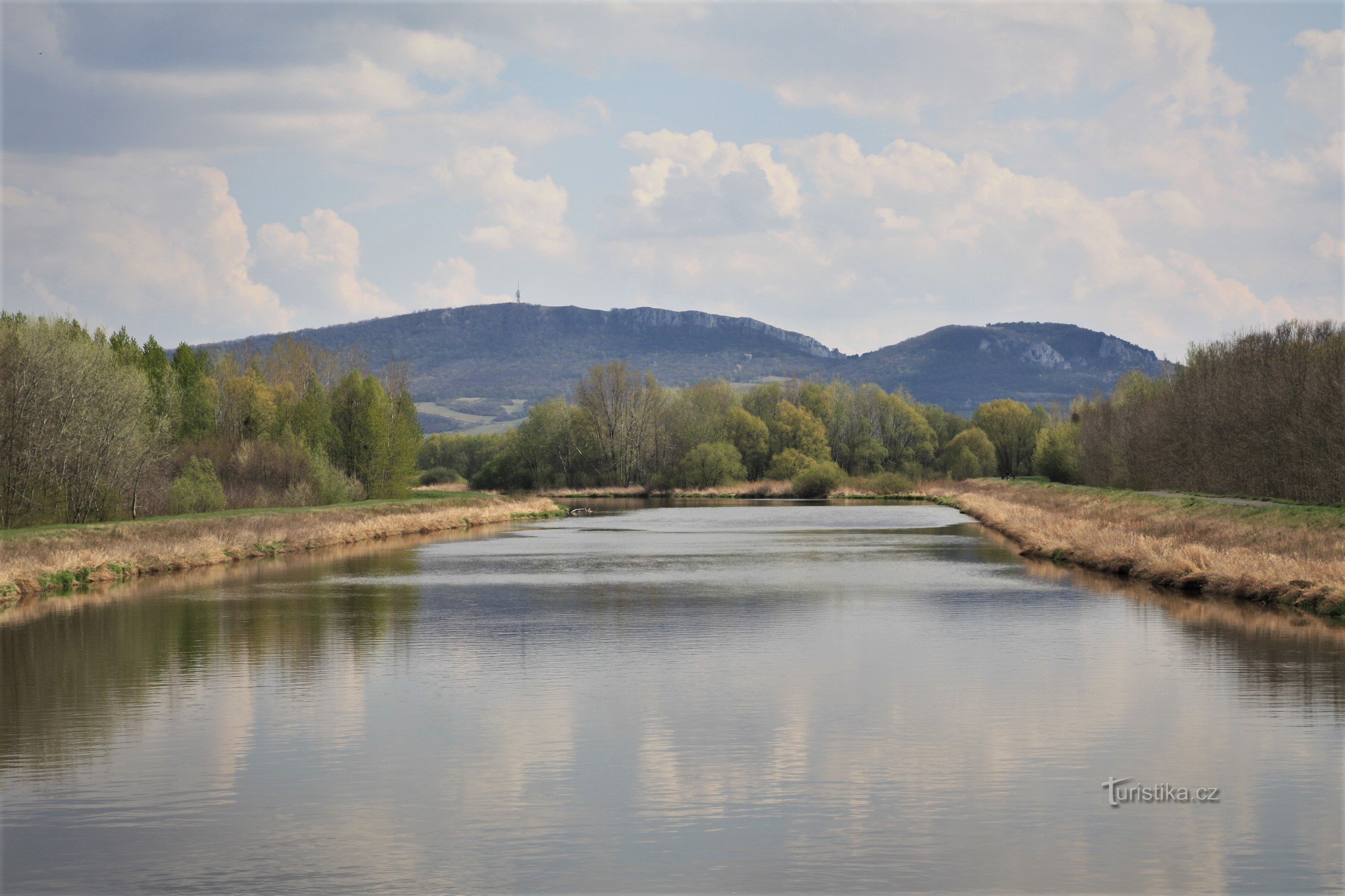 Svratka と Jihlava の合流地点の牧草地で