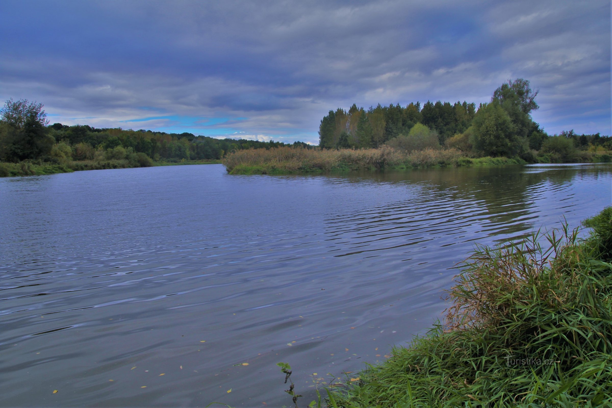 Svratka と Jihlava の合流地点の牧草地で