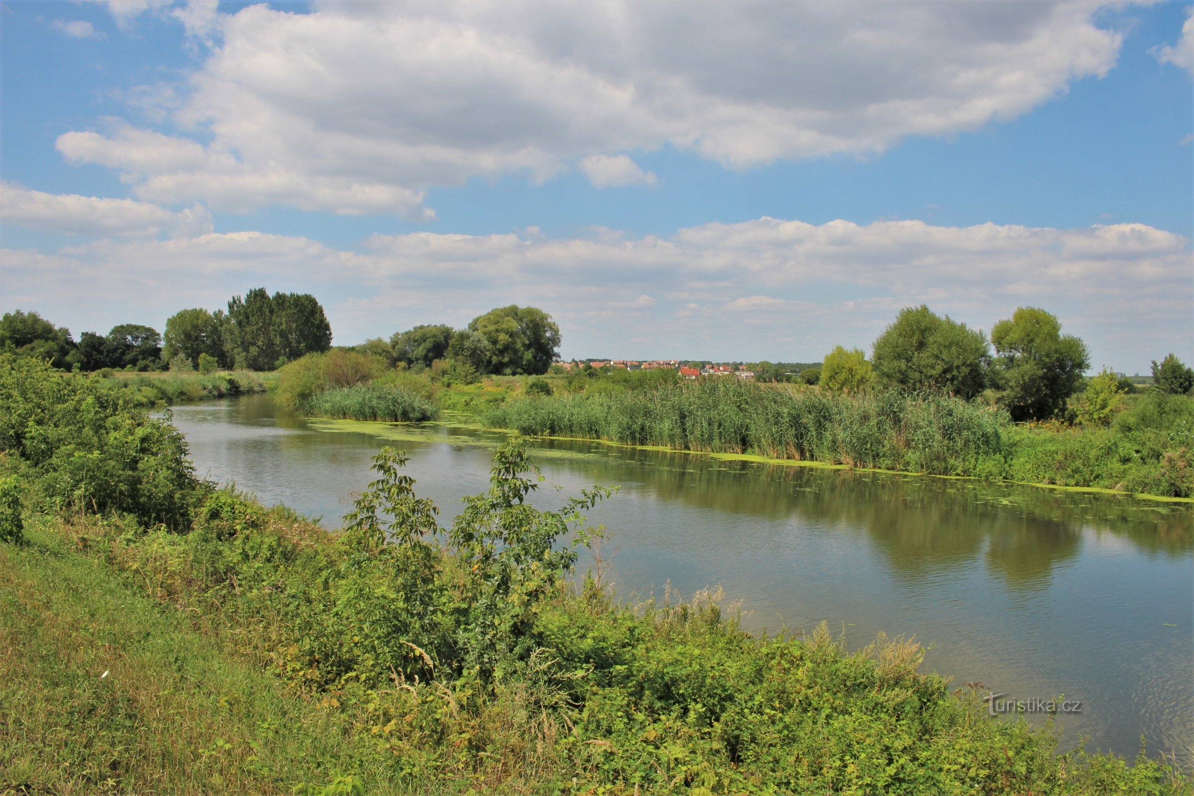 En un prado en la confluencia de Svratka y Jihlava