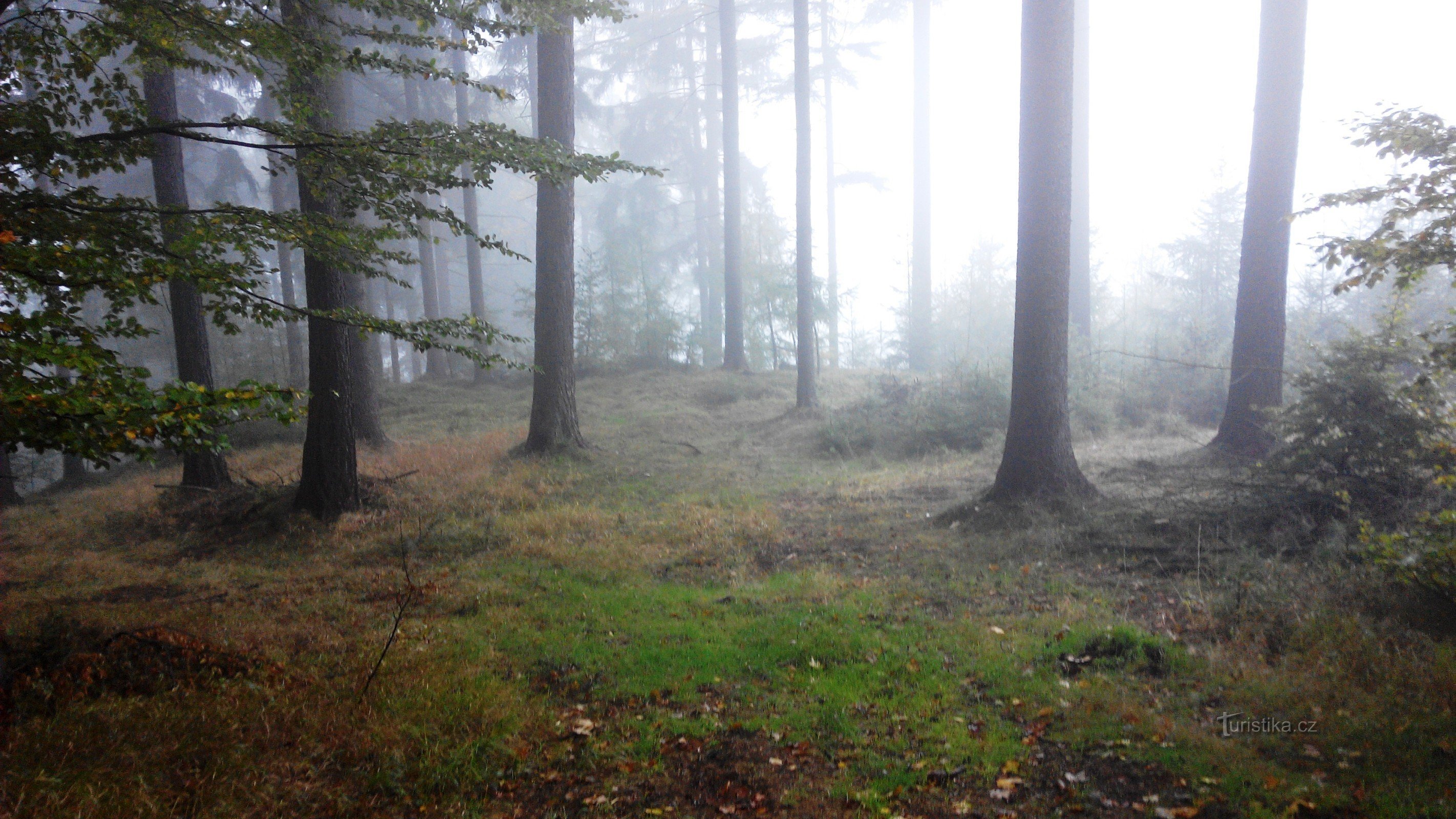 il y avait du brouillard à Lužky