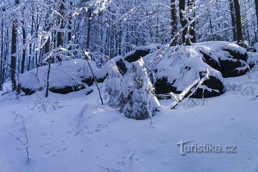 Υπάρχει ένας σωρός ερειπίων στο City Forest